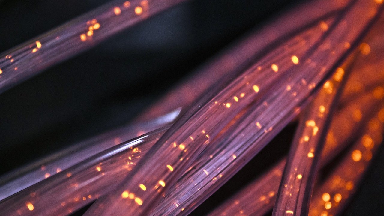 blue light fiber optic laboratory