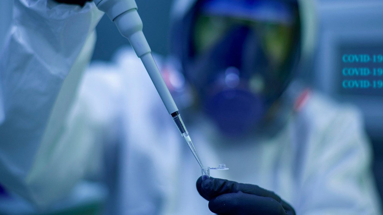 Ebola Bundibugyo in Nigeria: USMLE High-Yield Review
