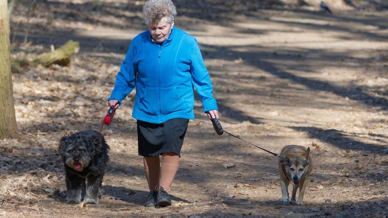 Parkinson's Disease and Exercise: Slower Decline in Study