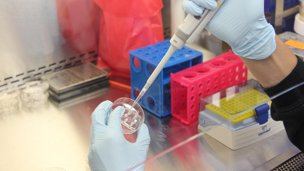 CAR-T Naive-Like T Cells and Lymphoma Outcomes: USMLE Review