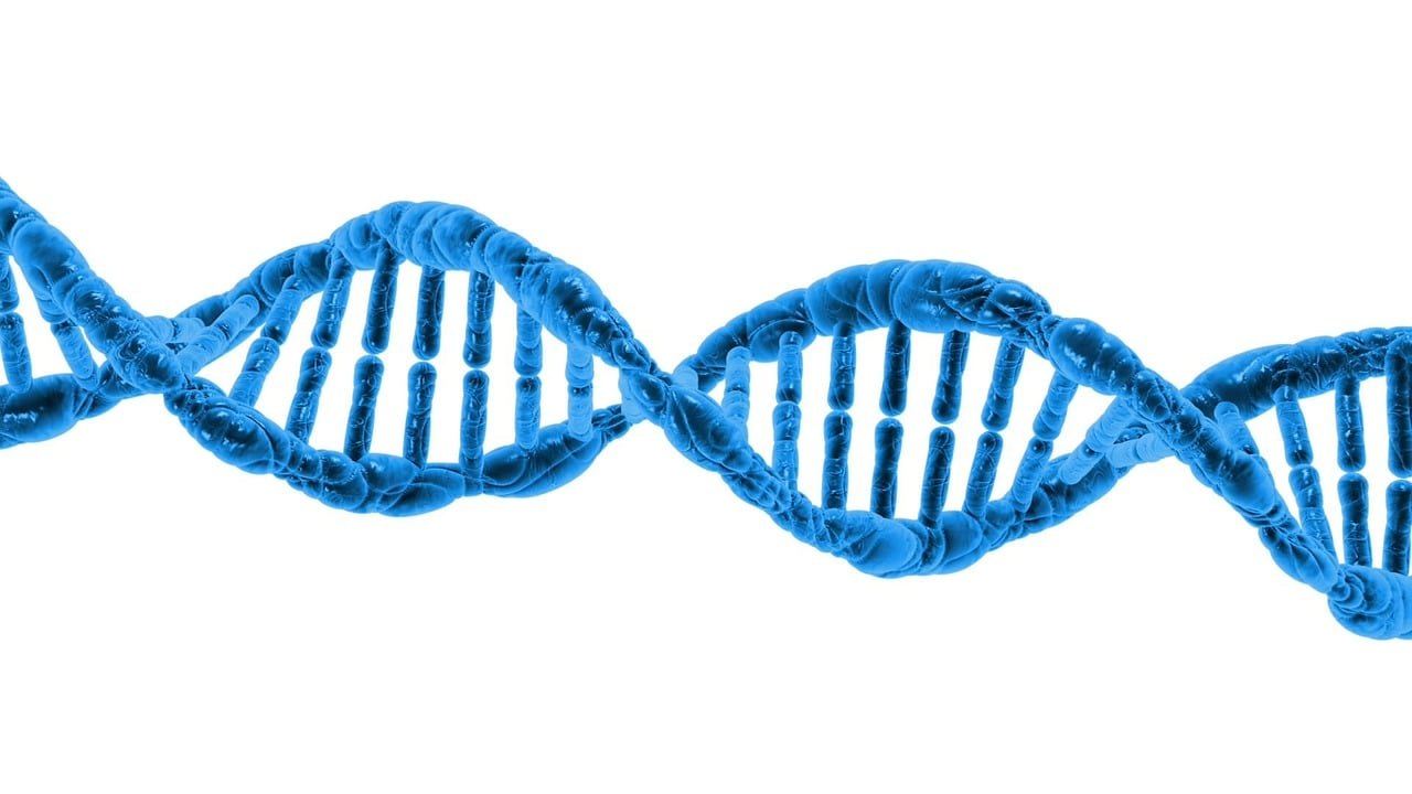 laboratory DNA sequencing genetic test