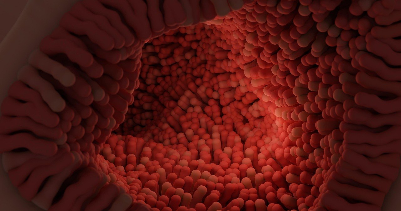 IBD Autoantibodies Against IL-10: USMLE Review of New Study