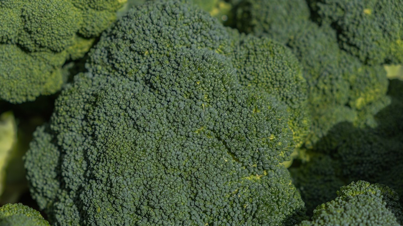 fiber rich foods chicory vegetables