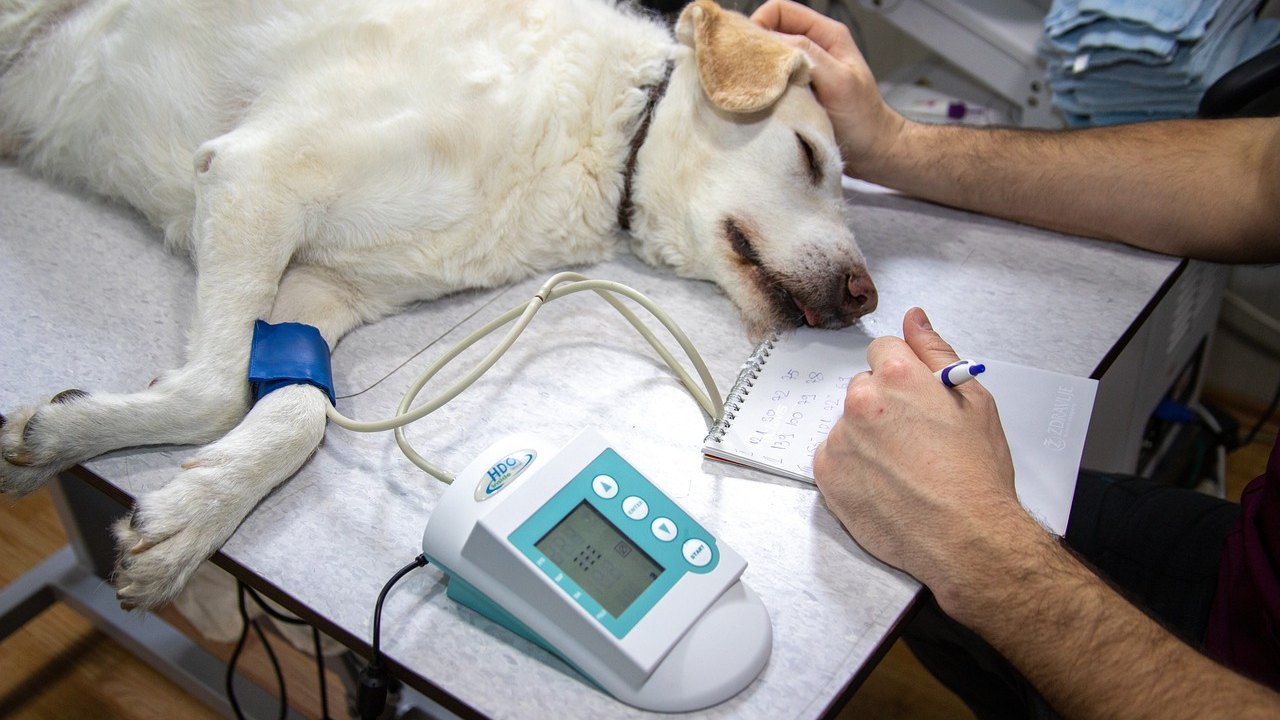 blood pressure monitor on table