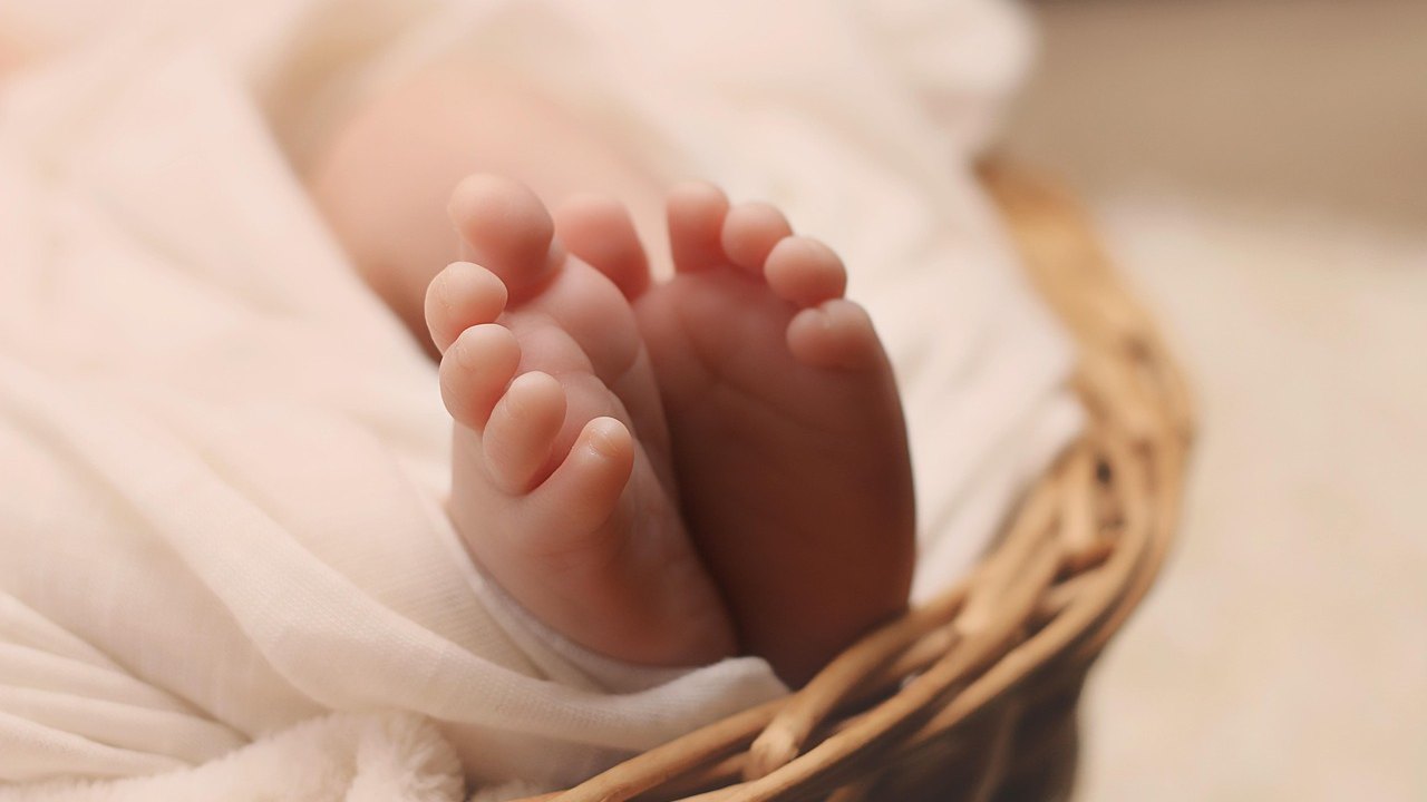 infant skin pediatric checkup