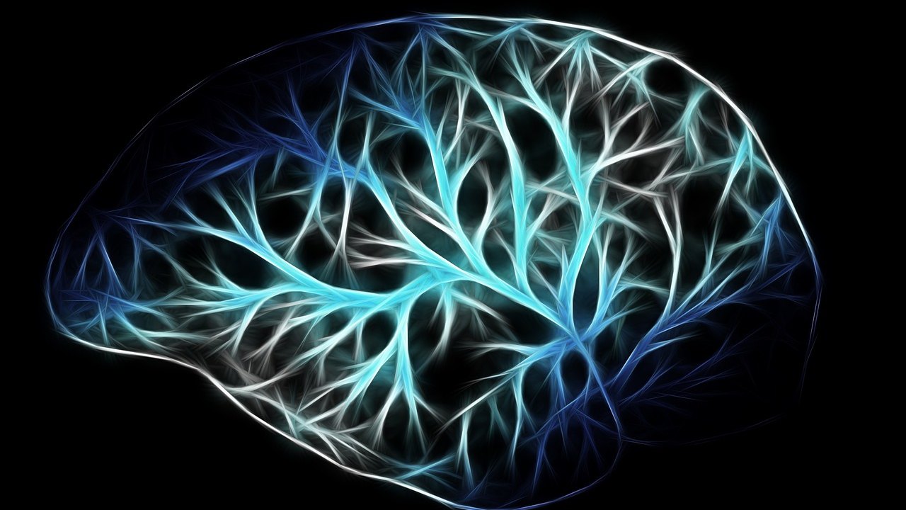 Parkinson's Disease Stem Cell Therapy: First Patient in Japan