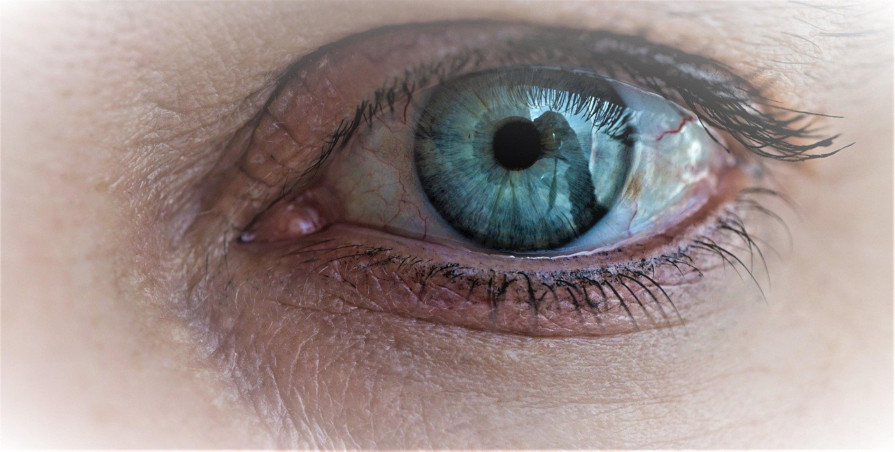 eye retina examination ophthalmology