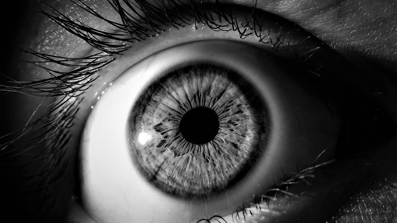eye retina examination ophthalmology